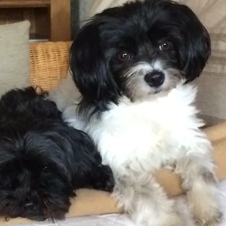 Appartamento Hegau-lounge-bodensee