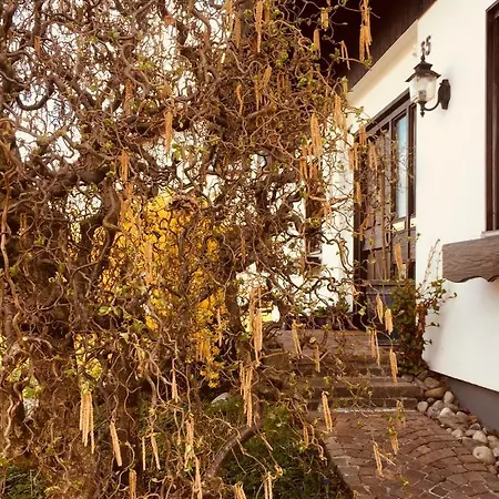 Lägenhet Hegau-lounge-bodensee *