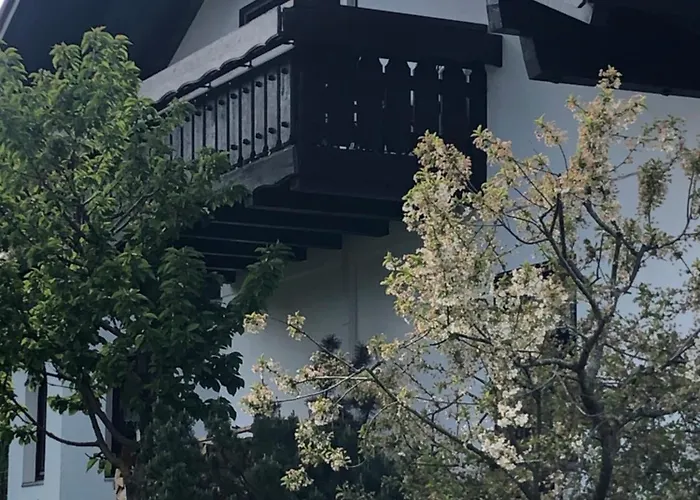 Hegau-lounge-bodensee *