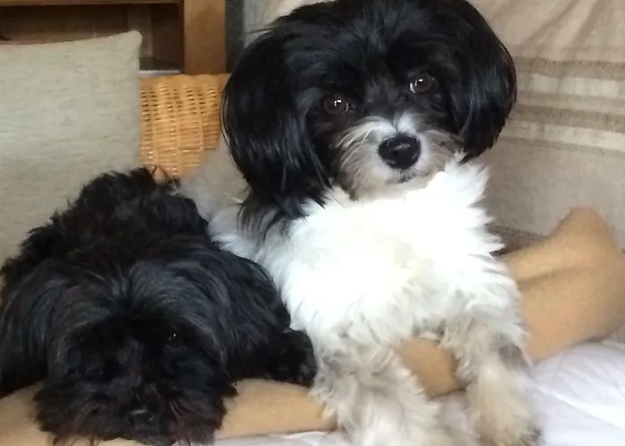 Lägenhet Hegau-lounge-bodensee