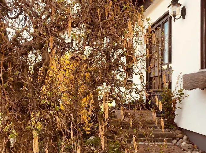 Lägenhet Hegau-lounge-bodensee *